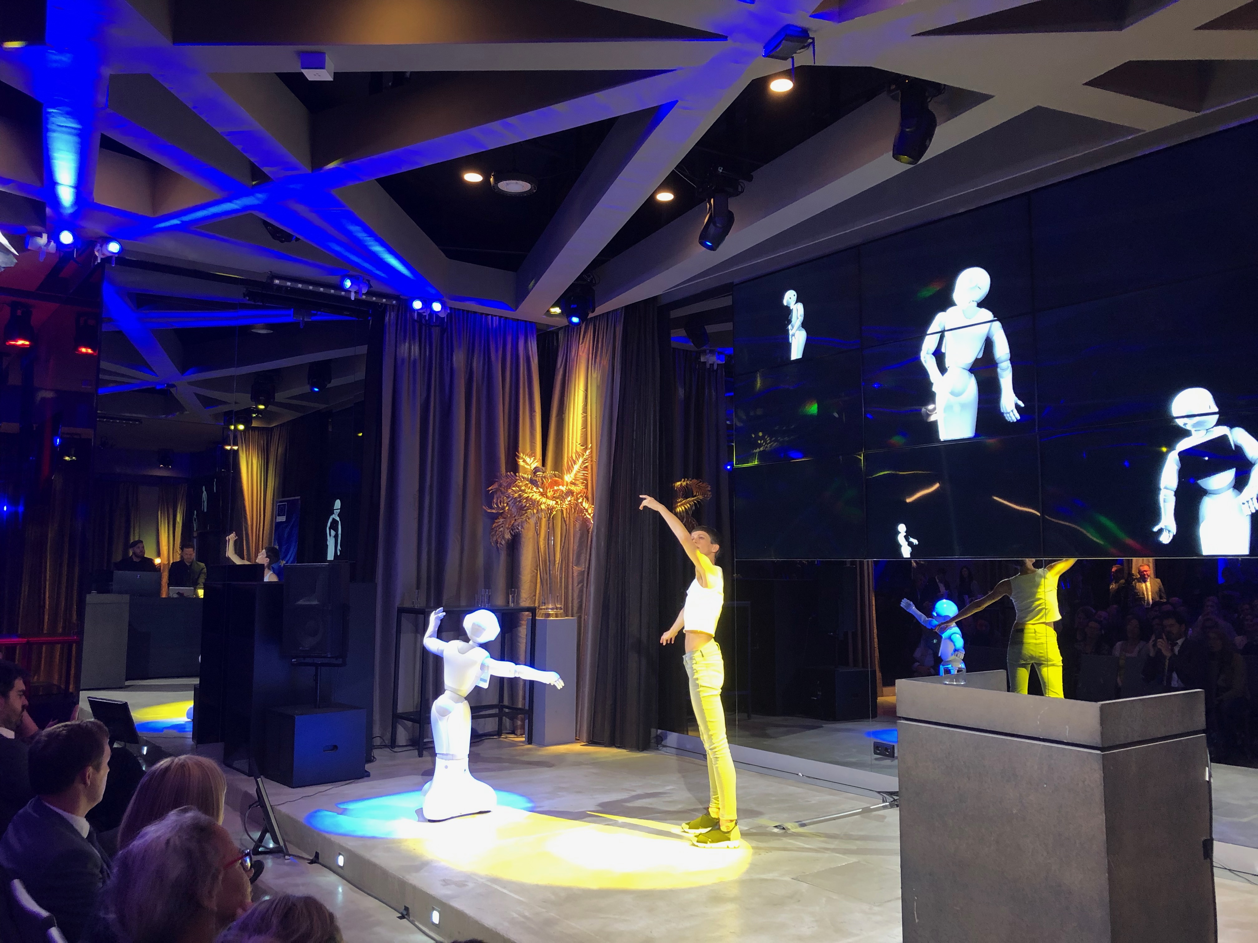 Lecture-performance “Doppelganger” cycle 3, at the annual meeting of the European Social Fund (ESF) on “Digital skills in education and work”
