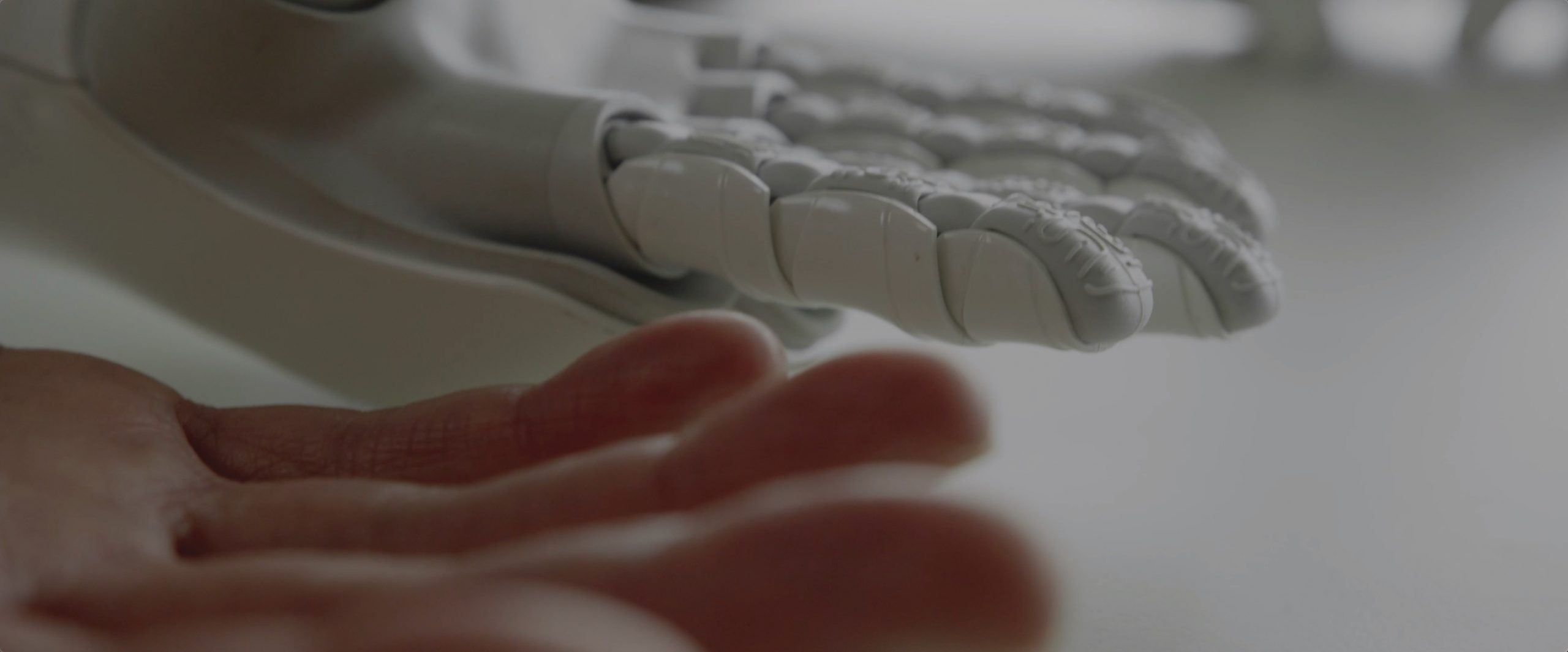 Hands – Hands made and become, Video clip with text published